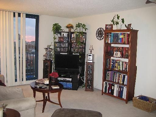 5th image of 1250 N La Salle Dr APT 1003