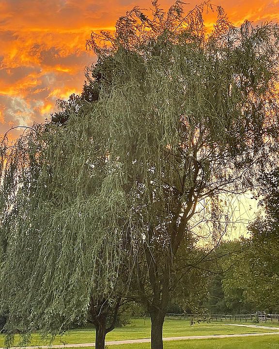 3963 McLean Rd, Franklin, OH 45005 Zillow