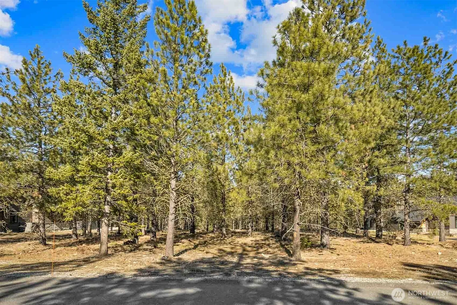 381 Gold Leaf Lane photo 1