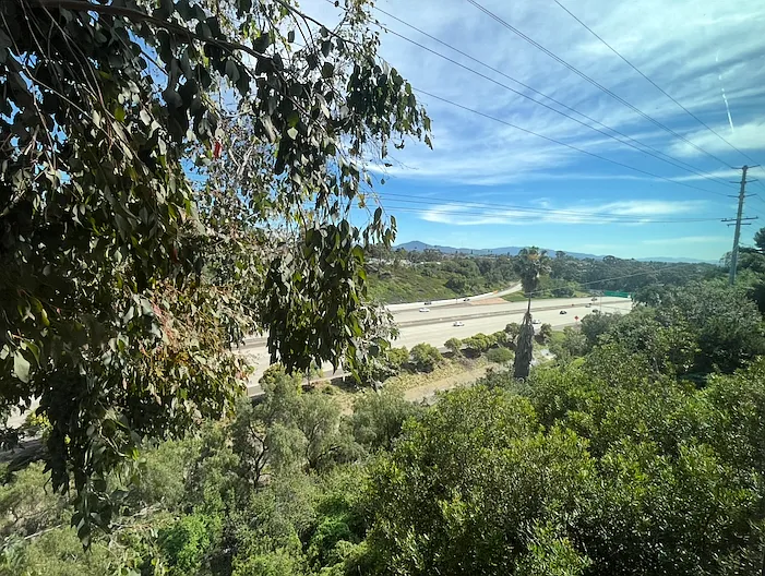 Back of property: Trees, mountain view, and 805 Freeway