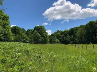 13729 Baird Road 38.4 Acres, Wolverine, MI 49799