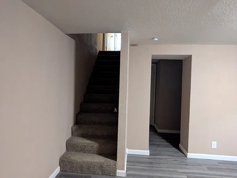 2223 Jackson Dr — Photo 13