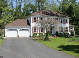 20 Cottage Ln, Sparta, NJ 07871