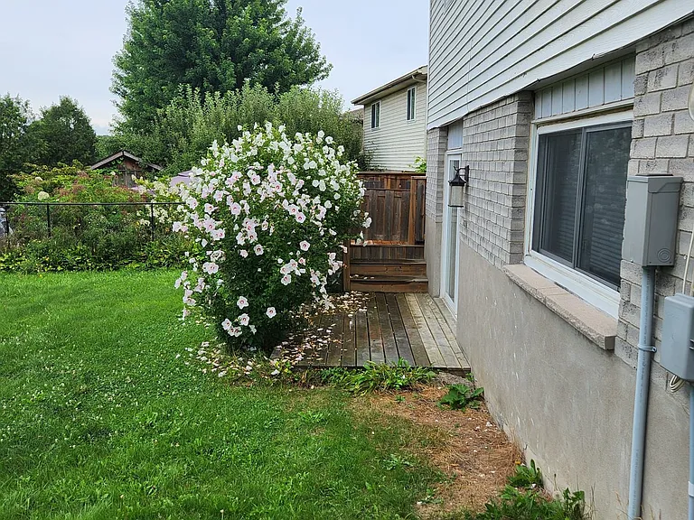 464 Thorndale Dr #BASEMENT — Photo 6