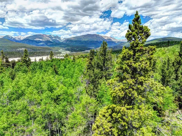 0 Platte River Ct, Fairplay, CO 80440