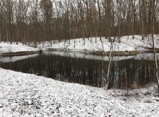 486 Ripson Bridge Ave, Sorento, IL 62086