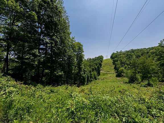 5th image of 137.88 Acres Off