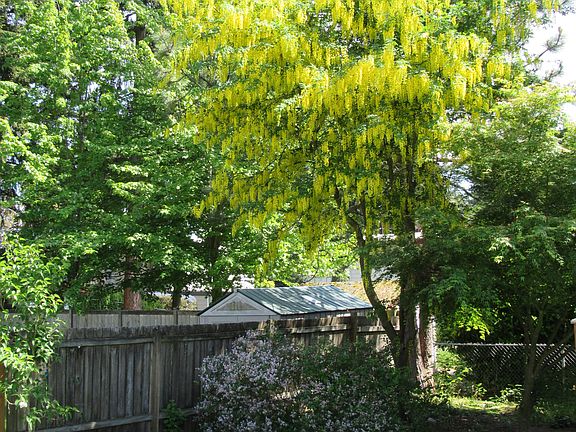 3rd image of 5810 178th St SW
