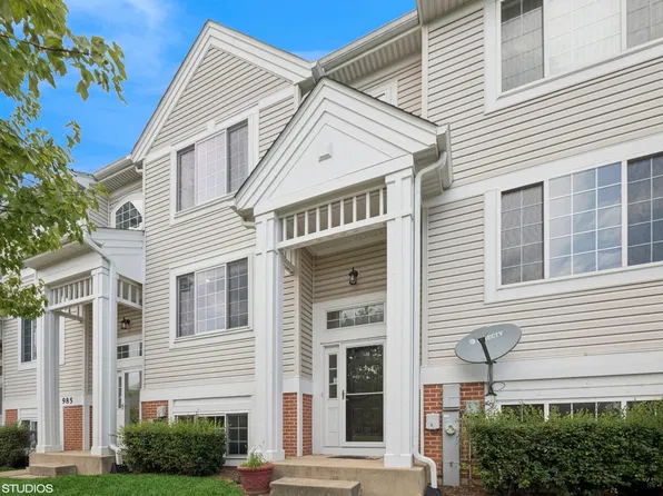 983 Mayfair Ct #983, Elk Grove Village, IL 60007