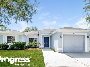 1425 Birchstone Ave, Brandon, FL 33511