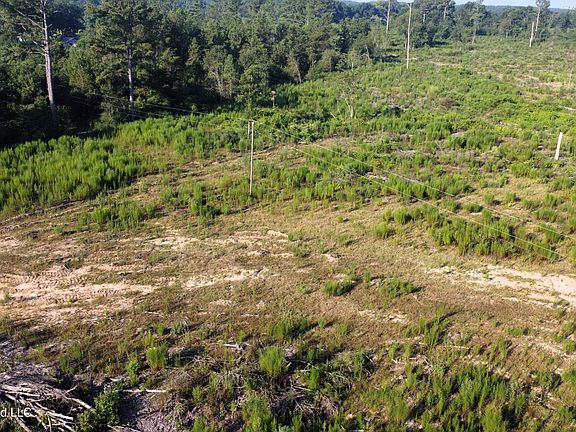 2nd image of Ebenezer Rd