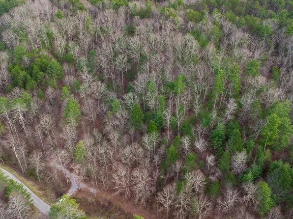 379 Maple Springs Rd, Reliance, TN 37369