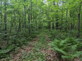 31397 River Bend Dr, Pine City, MN 55063