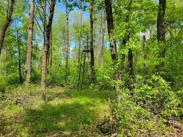 510 Avenue, Henning, MN 56551