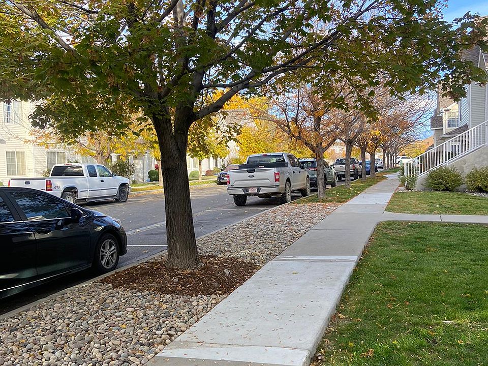 Maple Tree lined street, bonita