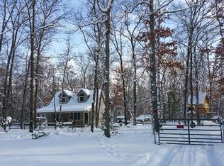 11462 S Birchwood Dr, Baldwin, MI 49304