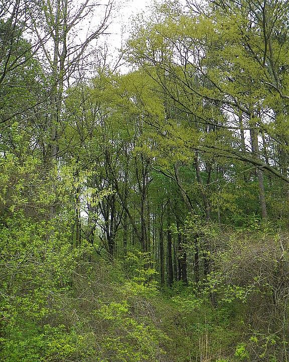 3641 Davis Academy Rd, Rutledge, GA 30663 Zillow