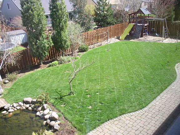Back Yard with Pond