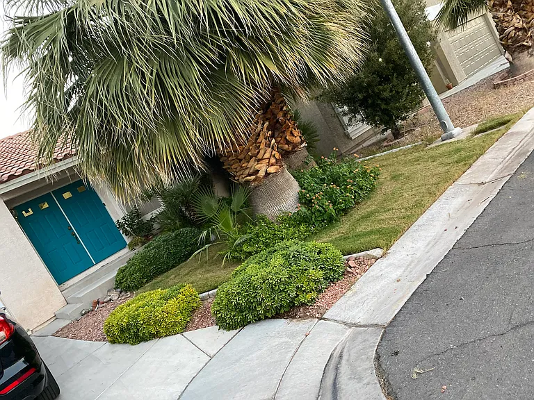 10087 Distant Rain Ct — Photo 4