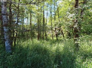 Pe Ell McDonald Rd, Pe Ell, WA 98572