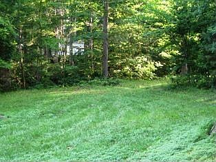 Large backyard with adjacent common area