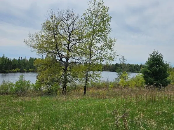 4103 W Weber Rd, Mercer, WI 54547