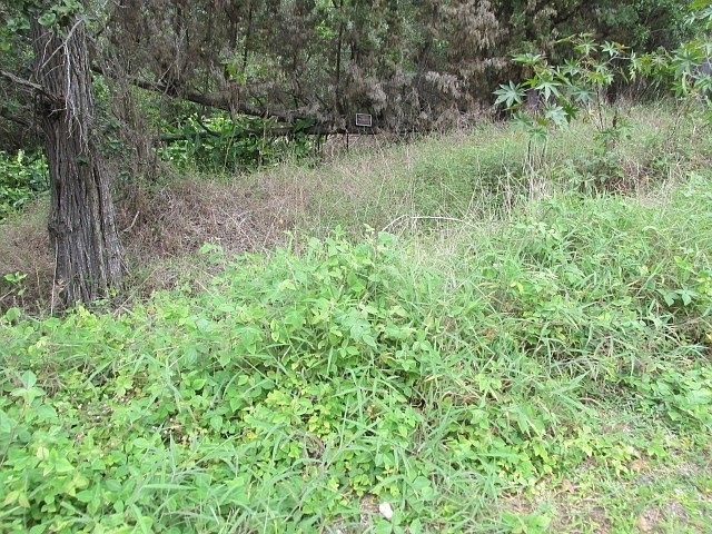 2nd image of Catamaran Ln Lot 18