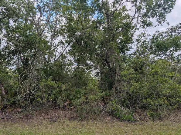 1009 Azalea Dr Lot 8, Indian Lake Estates, FL 33855