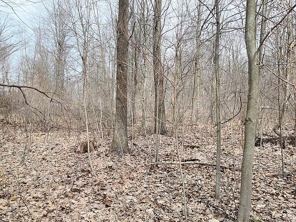 4th image of 5371 Jensen Rd