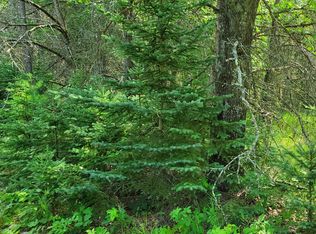 1927 E Seventeen Mile Rd, Bitely, MI 49309