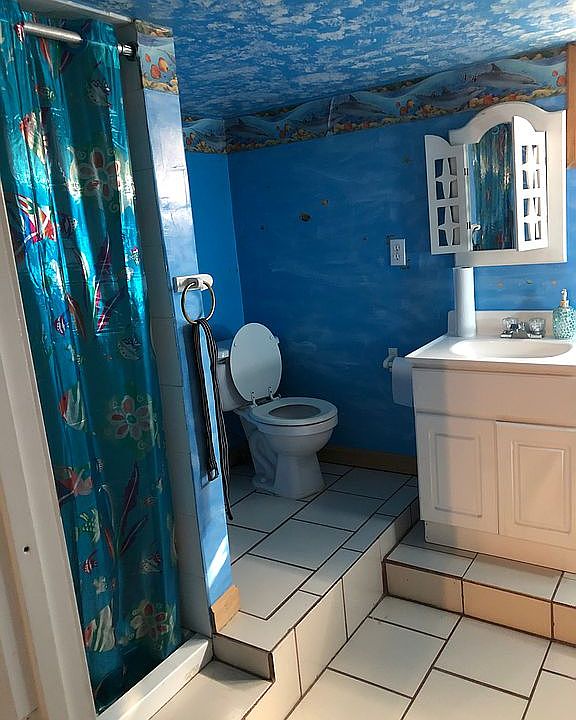 Second bathroom downstairs 