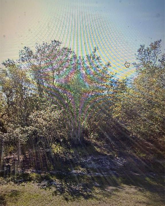 1st image of 1348 TALLAHASSEE COURT LOT 5