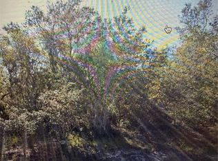 1348 Tallahassee Ct LOT 5, Kissimmee, FL 34759