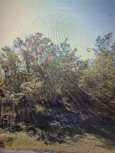 1348 TALLAHASSEE COURT LOT 5, Kissimmee, FL, 34759