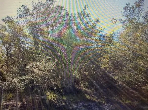 1348 Tallahassee Ct Lot 5, Kissimmee, FL 34759