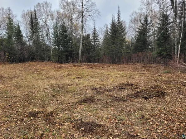 3475 Whyte Rd, Finland, MN 55603