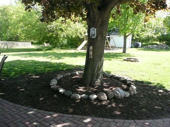 shade tree in the back