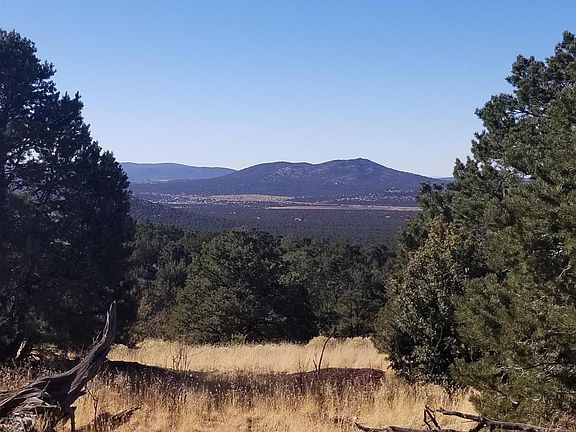5th image of 2894 E Overlook Dr
