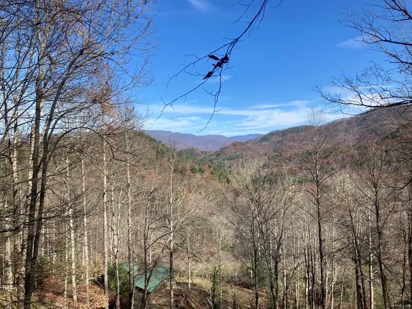 695 Everet Jenkins Rd, Robbinsville, NC 28771