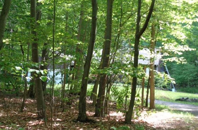 2nd image of 9 Bridle Ln