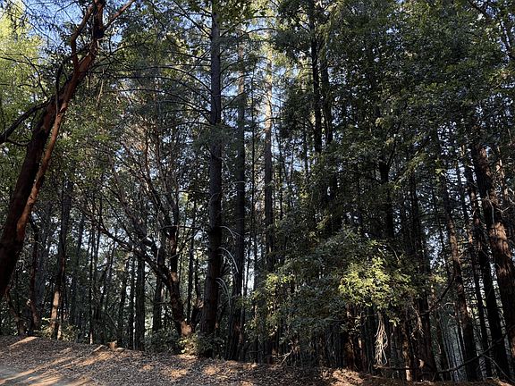 3rd image of 8989 Doody Ridge Rd
