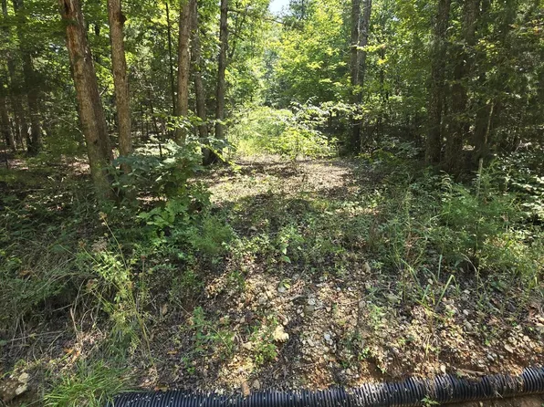 0001 County Road 421, Birch Tree, MO 65438