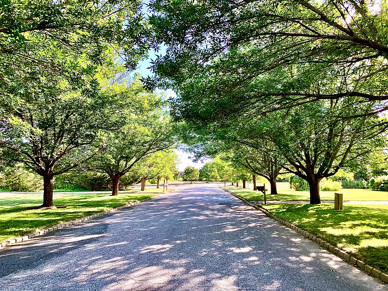 Old Field Ct — Photo 34