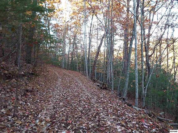 4th image of 55 Whetstone Rd Lot 55