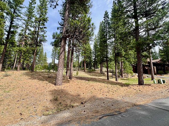 5th image of 153 Saddle Ridge Rd