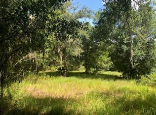 17806 Morgan Hammock Ct, Parrish, FL 34219