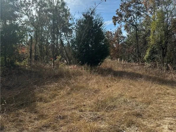 LOT 2 NE 151st Ter, Williston, FL 32696