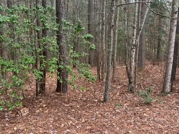 0 Mallard Dr, Valentines, VA 23887