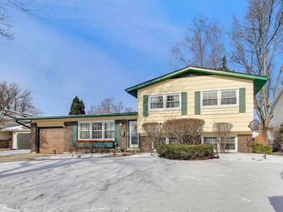 504 W Braeside Dr, Arlington Heights, IL, 60004