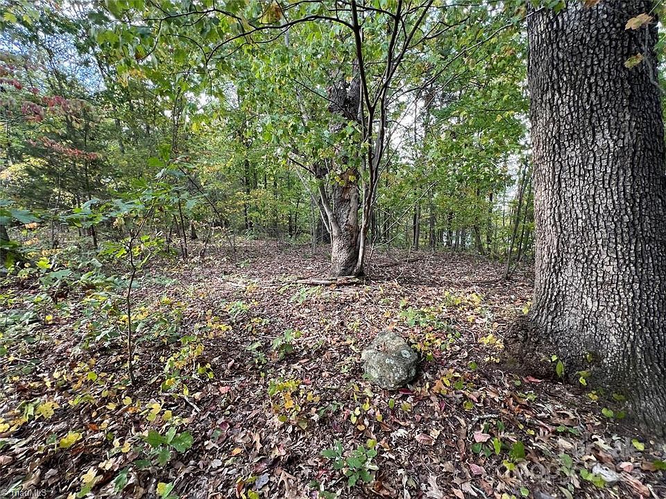 2nd image of 0 Sykes Farm Rd